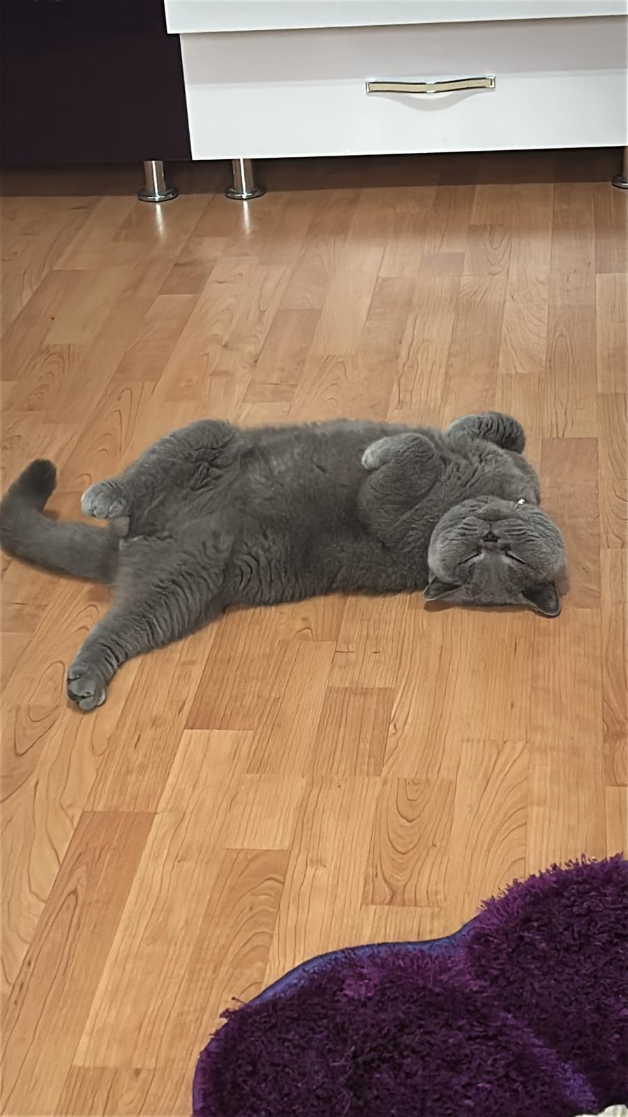 Imagine suplimentară